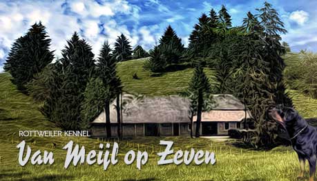 Website van Meijl op Zeven